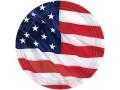 8 PIATTI FLAG AMERICA 26,6 Cm DI CARTONE MOLTO RESISTENTE PARTY